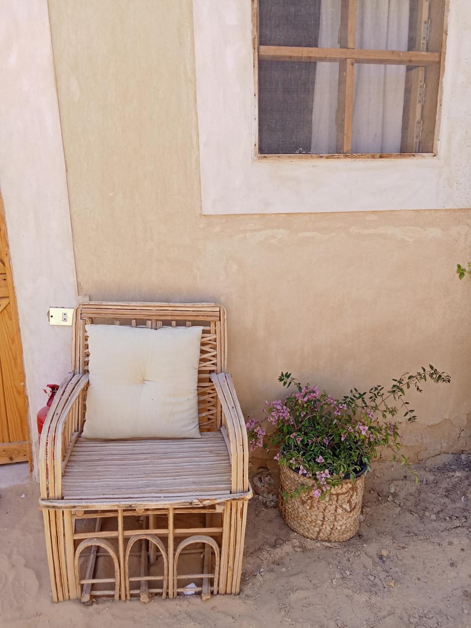 Tanirt Ecolodge Siwa Oasis Bagian luar foto