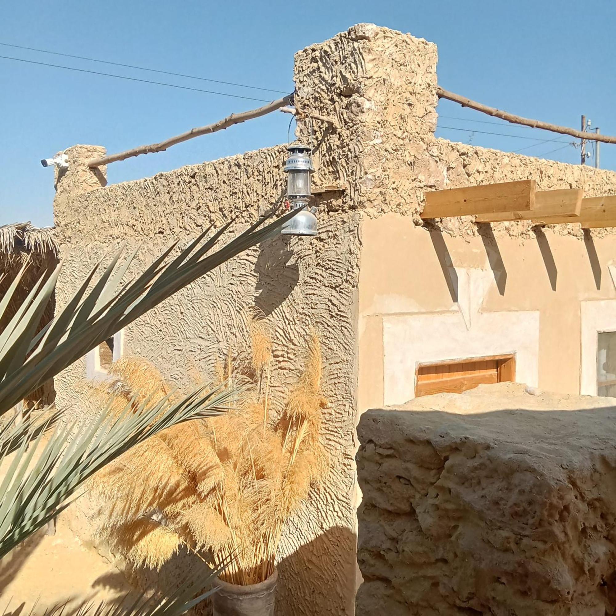 Tanirt Ecolodge Siwa Oasis Bagian luar foto