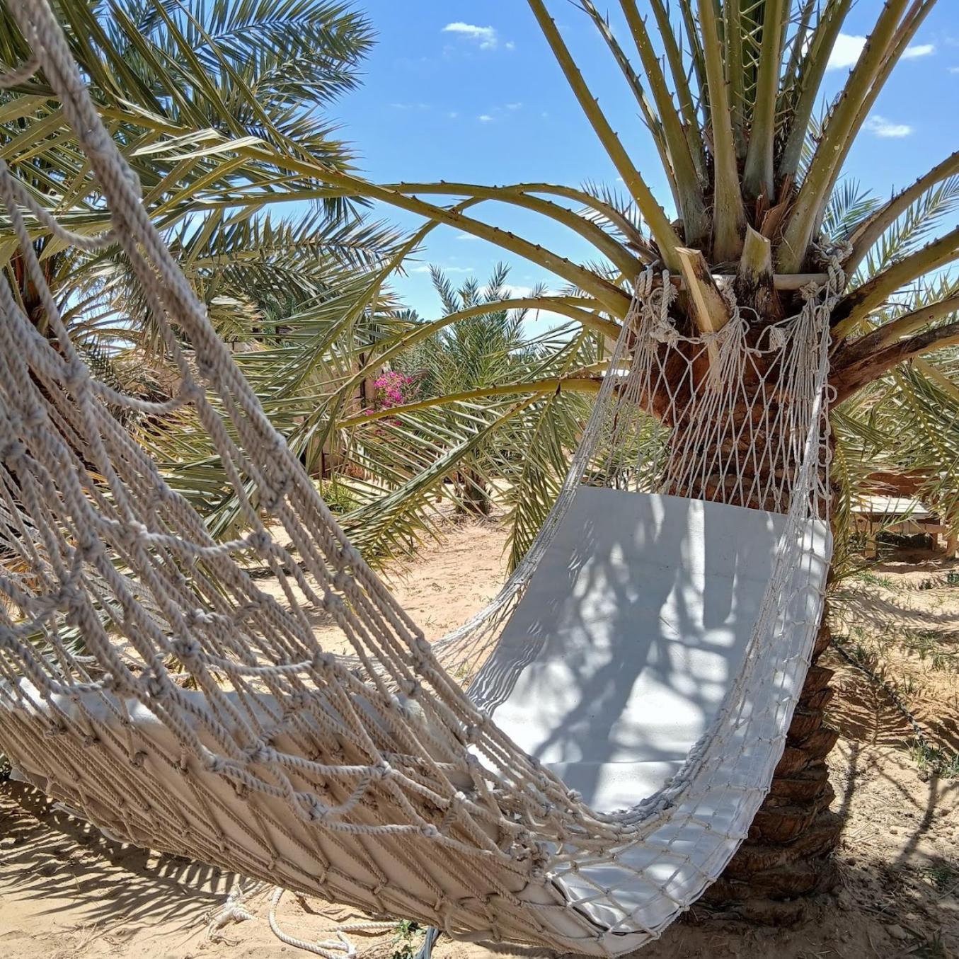 Tanirt Ecolodge Siwa Oasis Bagian luar foto